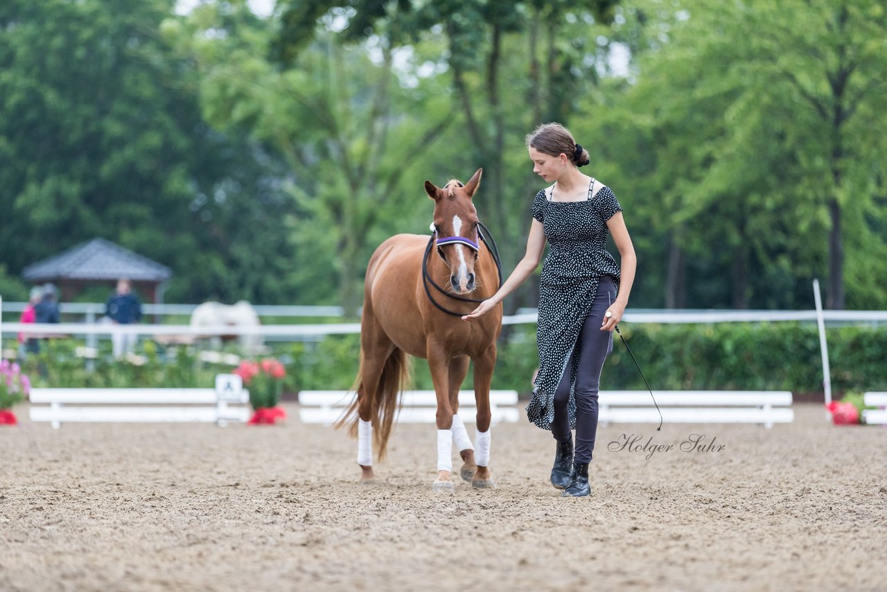 Bild 167 - Pony Akademie Turnier